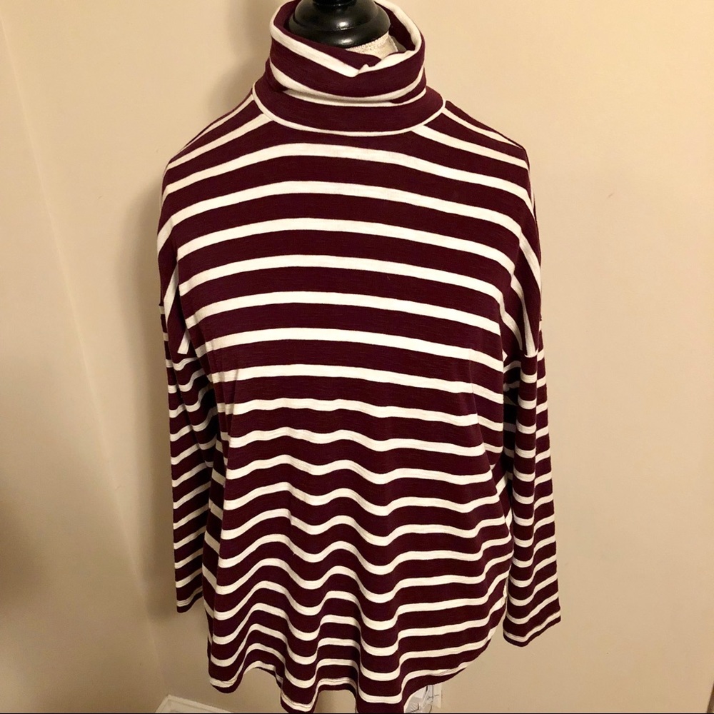 Long sleeve turtle neck